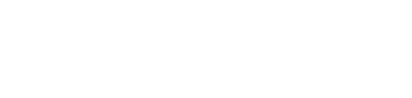 Academia Surrbac